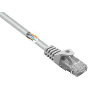 Síťový kabel RJ45 Basetech BT-2268241, CAT 5e, U/UTP, 1.00 m, šedá