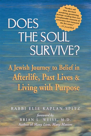 Does the Soul Survive?