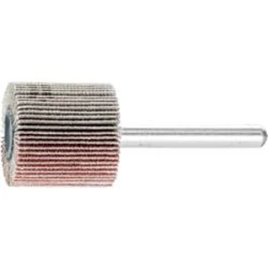 Vějířová bruska NA KŮŇ PFERD 44410126 Průměr 25 mm
