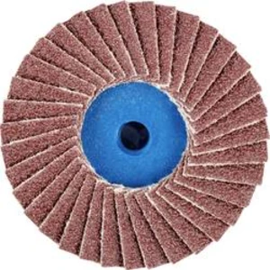 Vějířovitý brusný kotouč PFERD CD PFF 50 A 60 42719106, Ø 50 mm/
