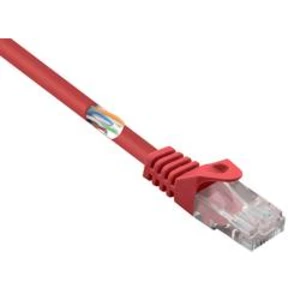 Síťový kabel RJ45 Basetech BT-1717510, CAT 5e, U/UTP, 25.00 cm, červená
