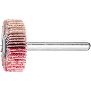 Vějířová bruska NA KŮŇ PFERD 44402094 Průměr 30 mm