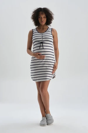 Dagi Navy Striped Dress