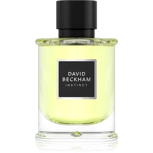 David Beckham Instinct parfémovaná voda pro muže 75 ml