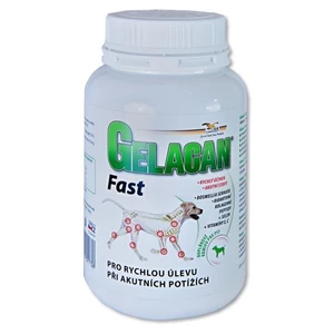 GELACAN Fast 150 g