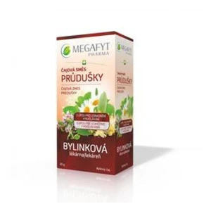 MEGAFYT Čajová směs průdušky 20 x 1,5 g