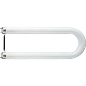 Zářivková trubice 607 mm Philips Lighting 110 V 2G13 36 W N/A en.třída: A (A++ - E) zářivkový tvar 1 ks