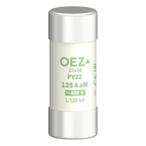 Pojistka válcová OEZ PV22 125A aM