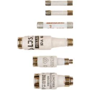 Weidmüller 0646400000 trubičková pojistka 0.8 A 250 V