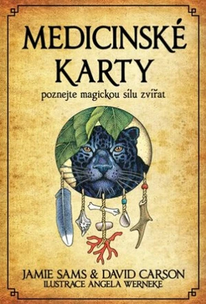 Medicinské karty (Kniha a 52 karet) - David Carson, Jamie Sams, Angela Werneke
