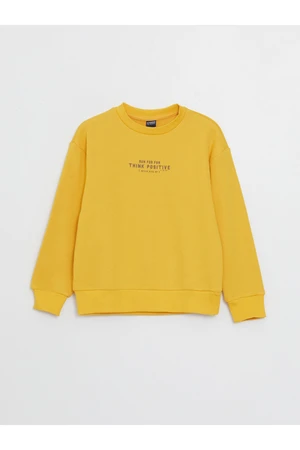 LC Waikiki Crew Neck Printed Long Sleeve Boy's Sweatshirt