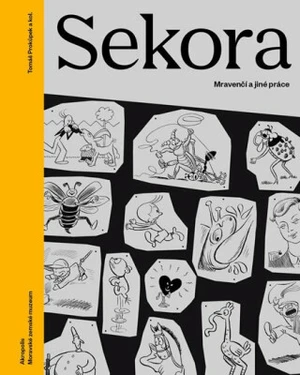 Sekora - Tomáš Prokůpek, kolektiv autorů