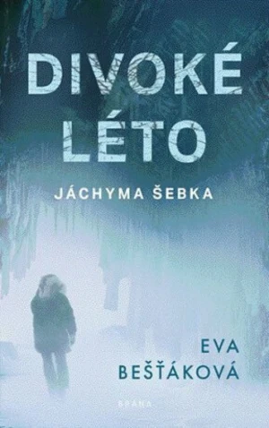 Divoké léto Jáchyma Šebka - Eva Bešťáková