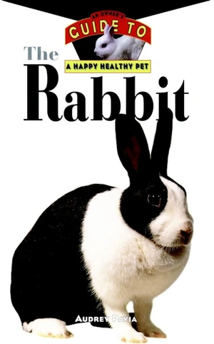 The Rabbit