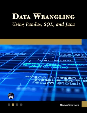 Data Wrangling Using Pandas, SQL, and Java