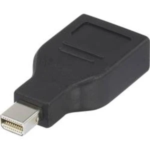 Adaptér miniDisplayPort zástrčka ⇒ DisplayPort zásuvka Renkforce