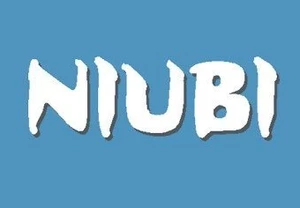 NIUBI Partition Editor Enterprise Edition CD Key (Lifetime / Unlimited Devices)