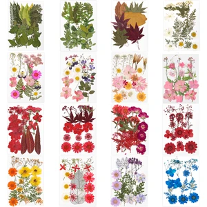 Pressed Flowers Real Dried Flowers Dry Plants For Preserved Flower DIY Epoxy Resin Pendant Necklace Jewelry Making Craft