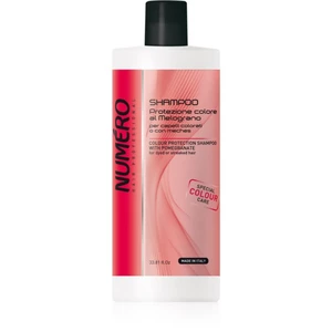 Brelil Professional Colour Protection Shampoo šampón pre farbené vlasy 1000 ml