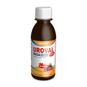 UROVAL Megabrusinka forte sirup 200 ml