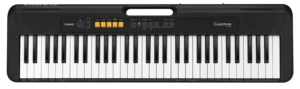 Casio CT-S100