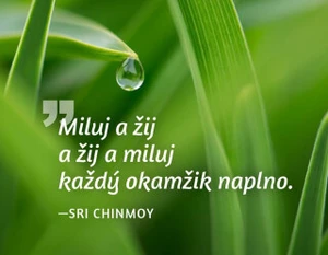 Magnet na lednici Miluj a žij... - Sri Chinmoy