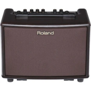 Roland Ac-33rw