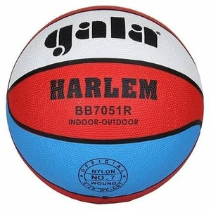 Gala Harlem 7 Koszykówka