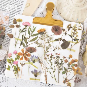 40Pcs Daisy Flowers Transparent PET stickers Scrapbook materials Handmade album decoration book hand account Scrapbook