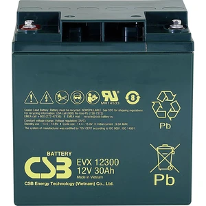 CSB Battery EVX 12300 EVX12300 olovený akumulátor 12 V 30 Ah olovený so skleneným rúnom (š x v x h) 166 x 175 x 125 mm s