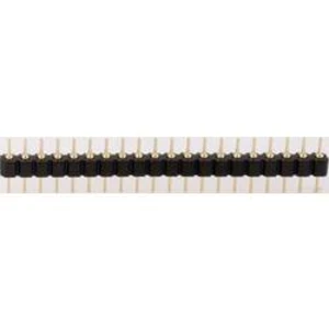 Pinová lišta BKL 10120538, 1x 32pól., 2,54 mm, (d x š x v) 81,3 x 2,5 x 11,0 mm, zástrčka