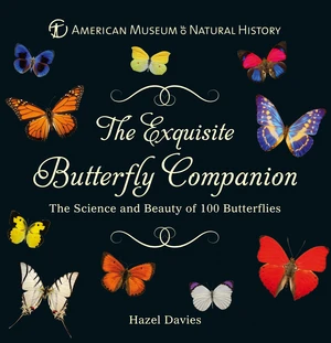 The Exquisite Butterfly Companion