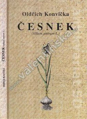 Česnek (Allium sativum L.) - Konvička Oldřich
