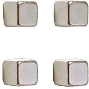 Franken neodymový magnet  (š x v x h) 10 x 10 x 10 mm kocky strieborná 4 ks HMN1010