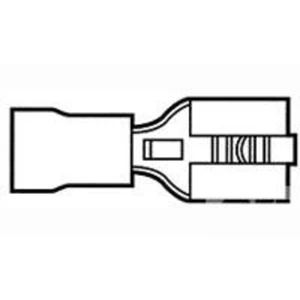 TE Connectivity FASTON Terminals - Pre-InsulatedFASTON Terminals - Pre-Insulated 170603-2 AMP