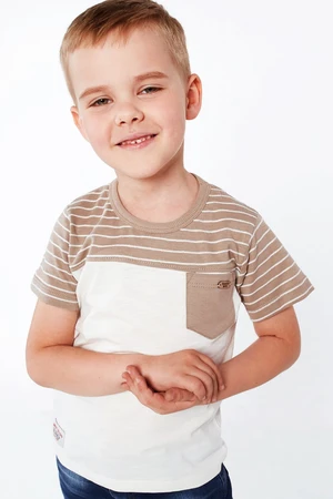 Boys' Beige-Cream T-shirt