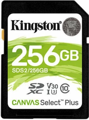 Kingston 256GB SDXC Canvas Plus UHS-I SDXC 256 GB Carte mémoire