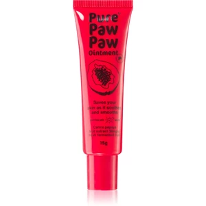 Pure Paw Paw Ointment balzám na rty a suchá místa 15 g
