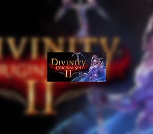 Divinity: Original Sin 2 Eternal Edition EU Steam Altergift