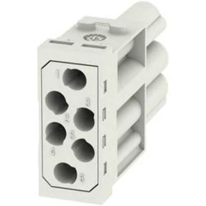 RockStar® Modu Plug Weidmüller HDC MHE 6P FC, 1 ks