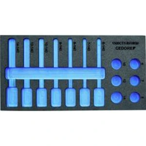 Gedore Check Tool - prázdný modul 2957647 rozměry: (d x š x v) 310 x 158 x 35 mm