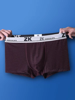 ZK Mens Honeycomb Mesh U-shaped Pouch Boxers Casual Breathable Antibacterial Plus Size Underwear