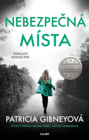 Nebezpečná místa (Defekt) - Patricia Gibneyová