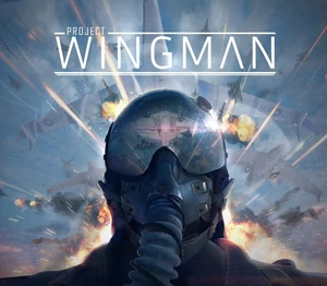 Project Wingman Steam CD Key