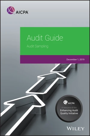 Audit Guide