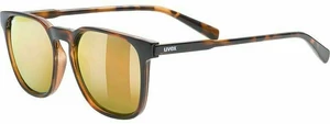 UVEX LGL 49 P Havanna/Mirror Gold Lifestyle okulary