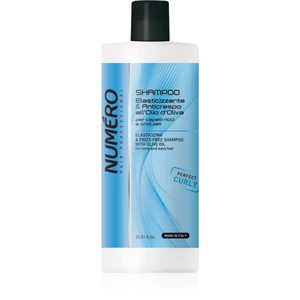 Brelil Professional Elasticizing & Frizz-Free Shampoo šampón pre vlnité vlasy 1000 ml