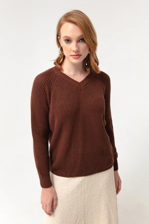 Lafaba Women's Brown V-Neck Knitwear Sweater