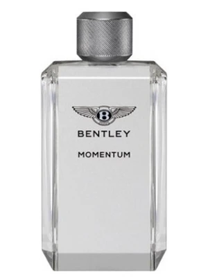 Bentley Momentum Edt 100ml