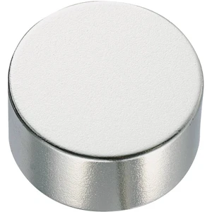 TRU COMPONENTS 505888 permanentný magnet guľatý (Ø x v) 5 mm x 20 mm N35M  1.18 - 1.24 T Max. pracovná teplota: 100 °C